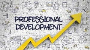 Professional Skill Development